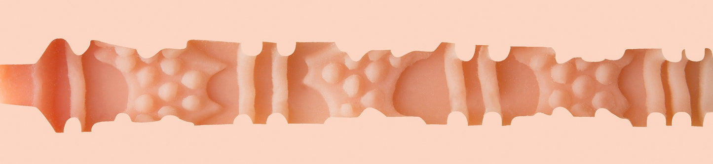 Combo Packs Trenton Ducati: Titanium and Dildo Pack