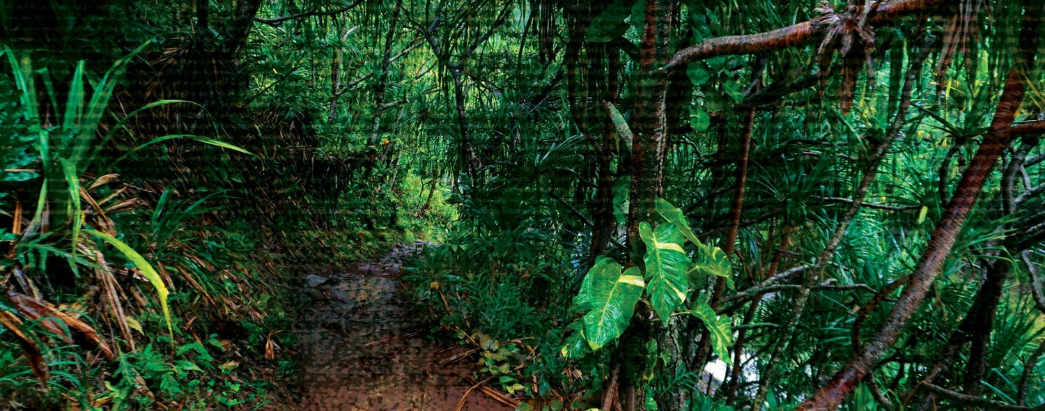 Predator - Fleshlight