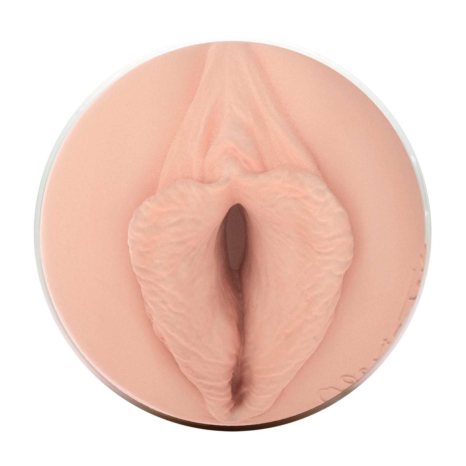 Alexis Texas Fleshlight Outlaw (Lady) With Case Fleshlight