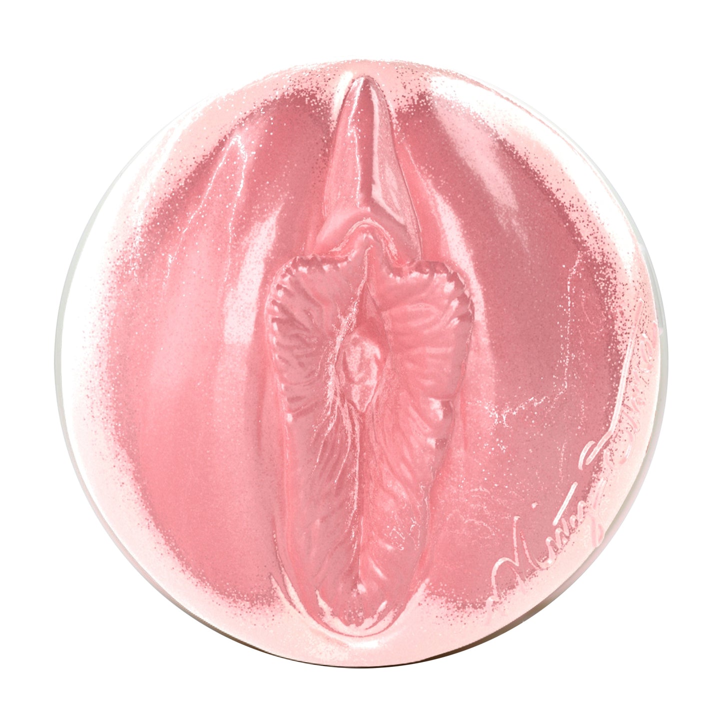 Misty Stone Birthday Cake Edition Fleshlight Reverse Bump - N - Grind (Lady) With Case Fleshlight