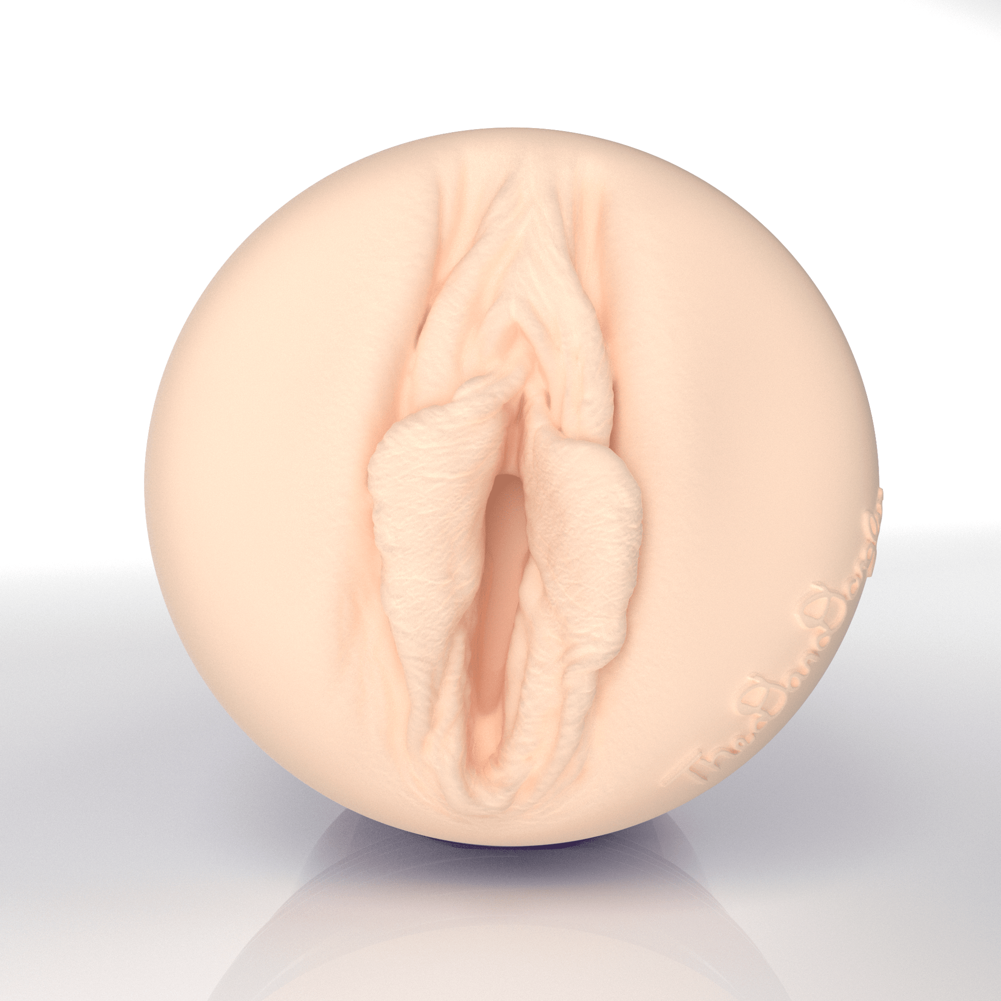 TheDanDangler Fleshlight Allure 150 Fleshlight