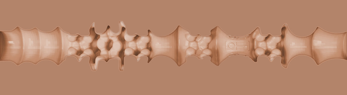 Mouth Texture – Medium