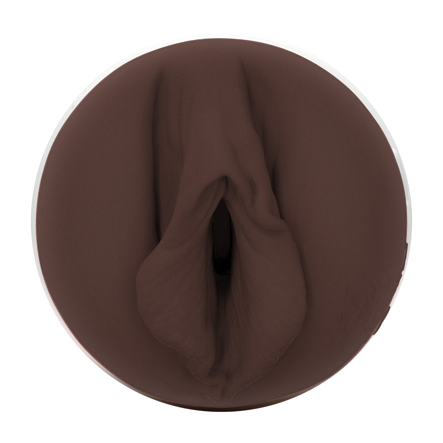 Ana Foxxx Fleshlight Silk (Lady) With case Fleshlight