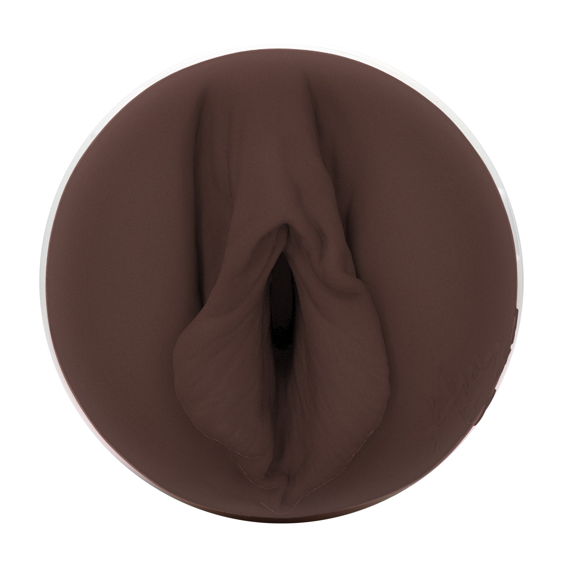 Ana Foxxx Fleshlight Silk (Lady) With case Fleshlight