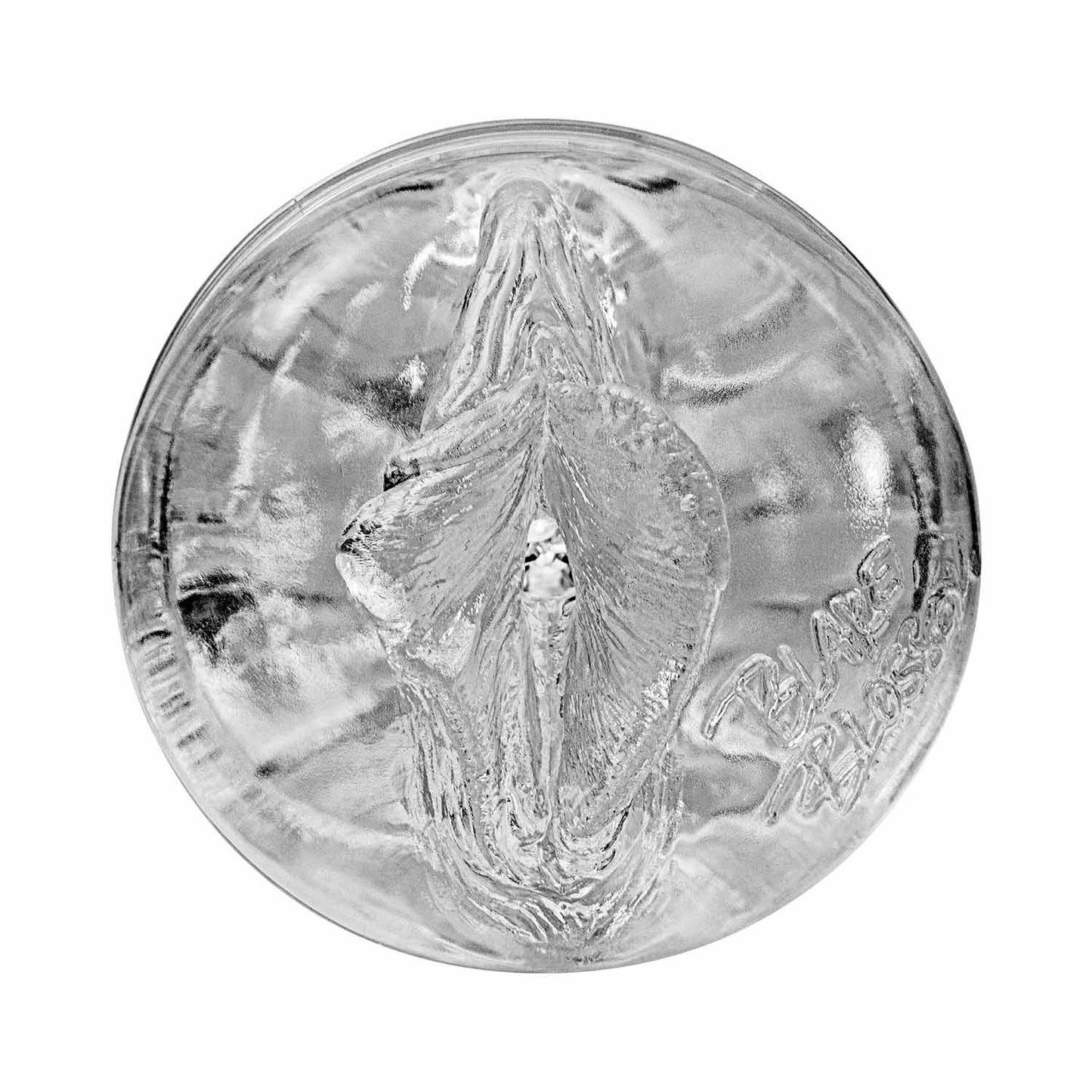 Sleeves Blake Blossom - Bombshell Ice Sleeve