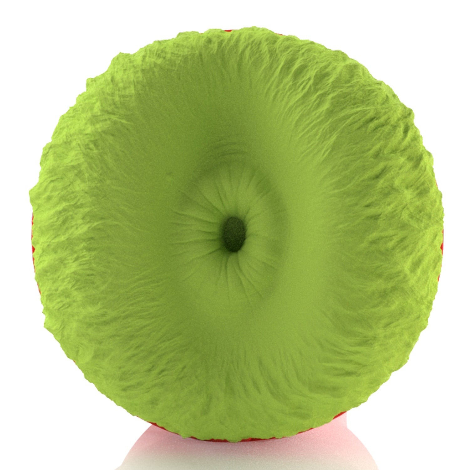 Fantasy Grussy / Grooty Grooty