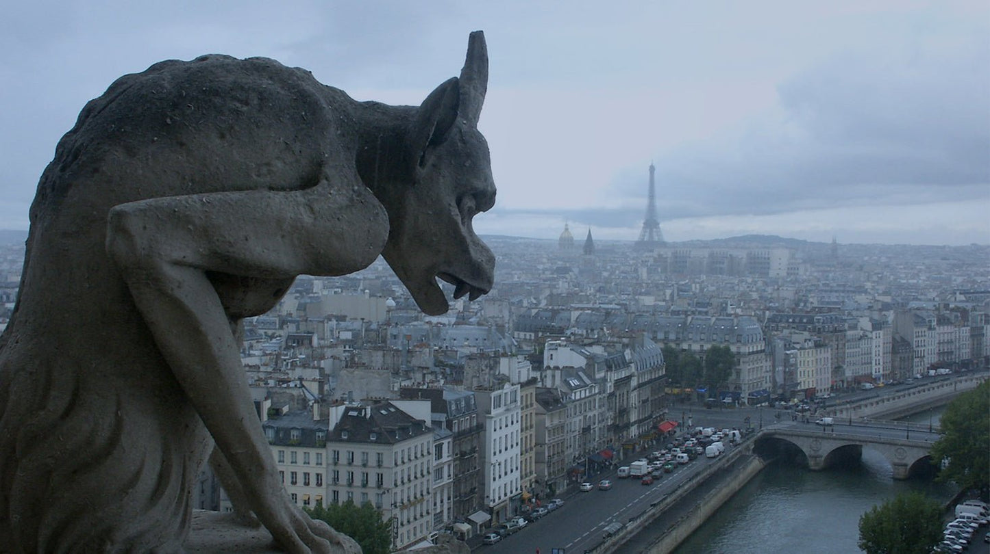 Masturbators Hunchback Dildo