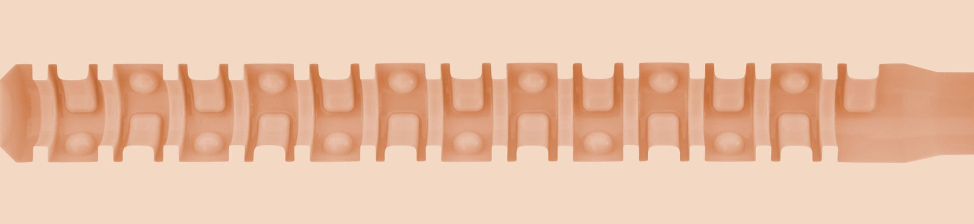 Fleshjack Boy Jake Bass Dream