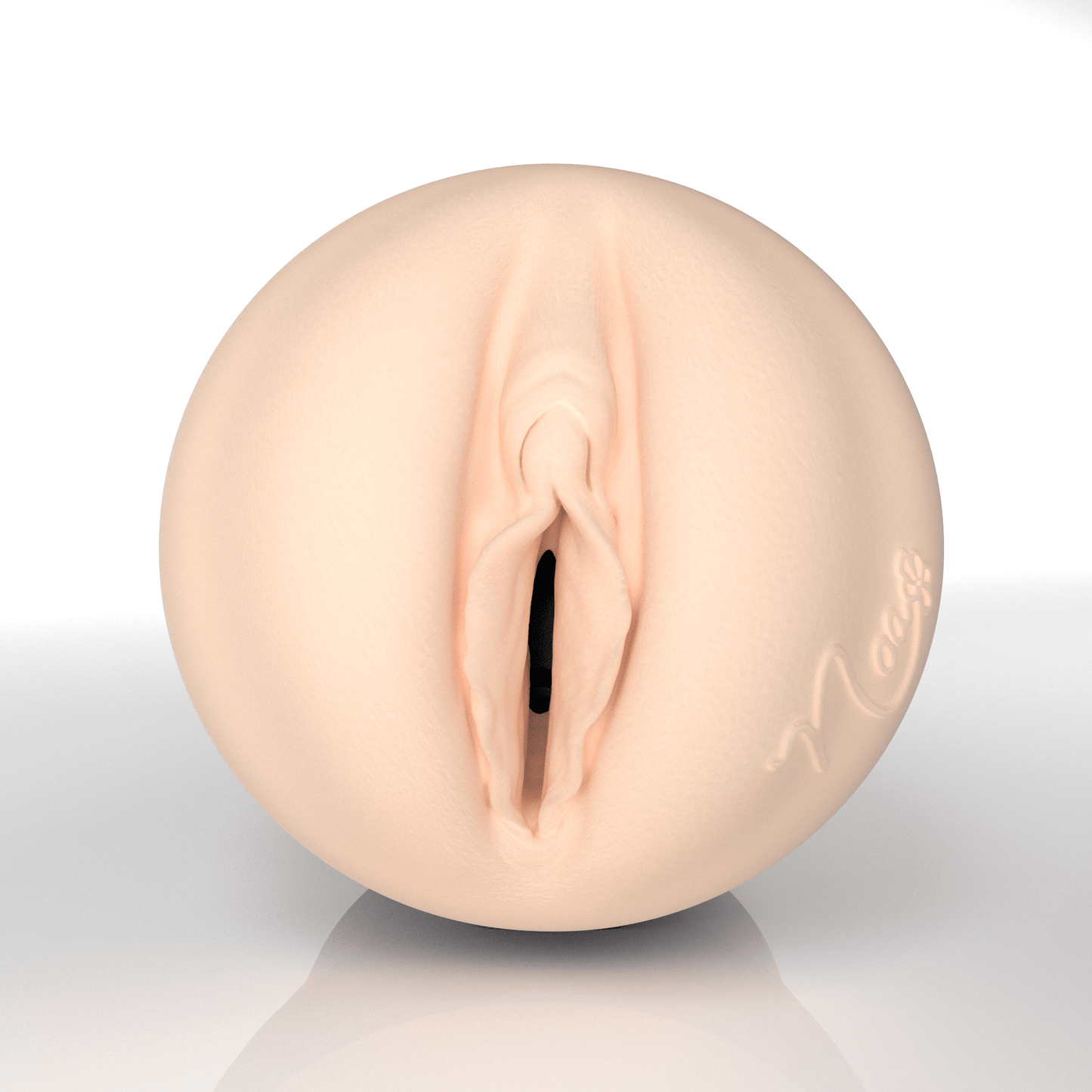 Fleshlight Pro Noa Rosen Lady Fleshlight Allure 150