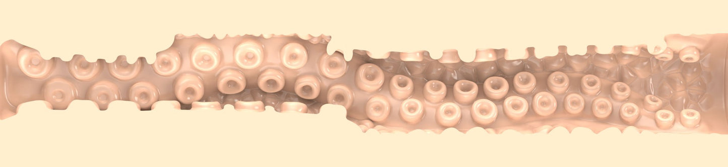 Combo Packs Sasha Nakamoto Ecchi Combo