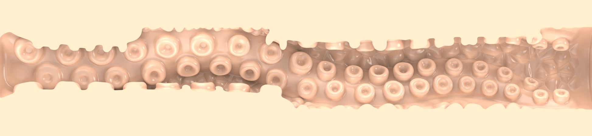 Combo Packs Sasha Nakamoto Ecchi Combo