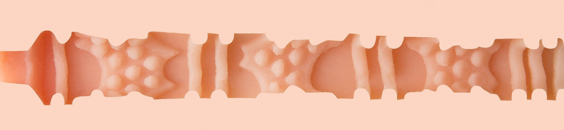 Combo Packs Trenton Ducati: Titanium and Dildo Pack