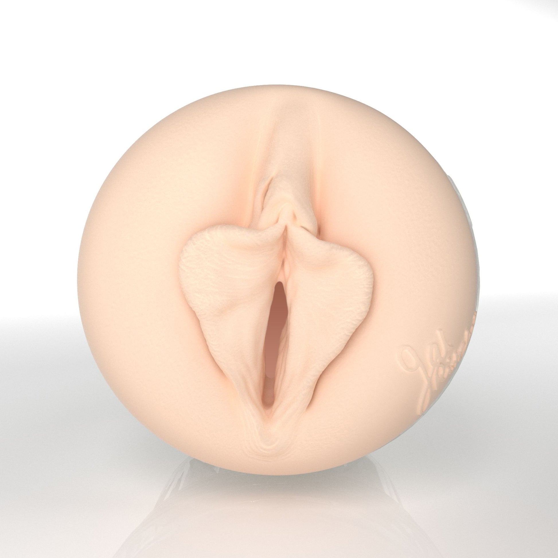 Gal Ritchie X3 2026 Edition Fleshlight 2026 Special Edition X3 (Lady) With Case Fleshlight